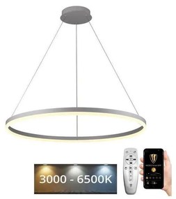 Brilagi - Lampadario LED dimmerabile a sospensione su cavo CIRCLE LED/55W/230V 3000-6500K + telecomando
