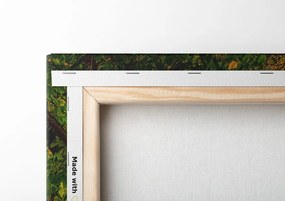 Quadro su tela – Sentiero nella foresta autunnale