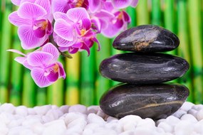 Carta da parati – Giardino Zen giapponese