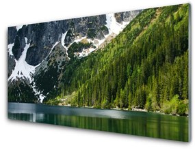 Quadro vetro Lago Foresta Montagne Paesaggio 100x50 cm