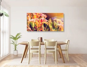 Stampa su tela – Splendidi fiori da giardino
