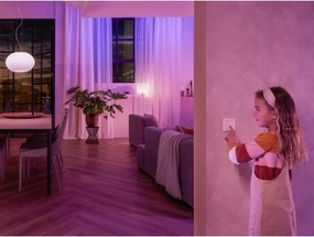 SET 2x Interruttori da parete modulo Philips Hue SWITCH