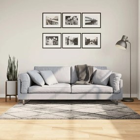 Tappeto Shaggy Pamplona Pelo Lungo Beige E Antracite 120x170 Cm /