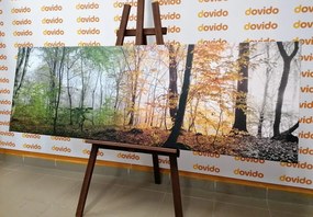 Stampa su tela – Quattro stagioni