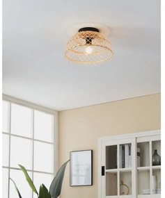 Eglo 43831 - Plafoniera AUSNBY 1xE27/40W/230V