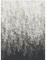 Zoffany Carta da parati Tyndall - Vine Black