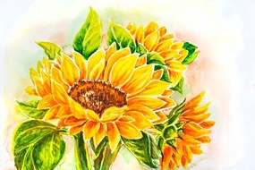 Carta da parati – Girasole splendido