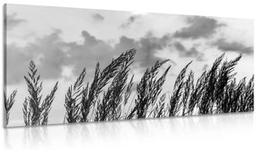 Quadro su tela – Erba in bianco e nero