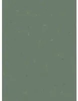 Coordonne Carta da parati panoramica Algae - 8000019N