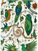 Clarke & Clarke Carta da parati Quetzal - Green