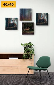Set di quadri – Incanto degli animali del bosco