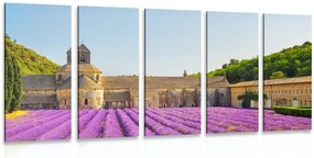 Quadri 5 pezzi – Provenza con campi di lavanda