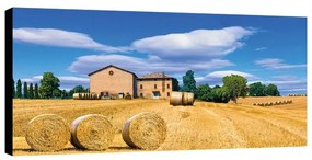 Stampa su tela Campagna Toscana , multicolore 140 x 70 cm