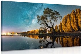 Quadro su tela – Albero sotto il cielo stellato