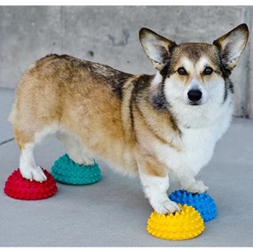 Supporti Di Allenamento Dellequilibrio Per Zampe Cani 4 Pz /