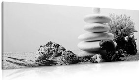 Stampa su tela – Pietre Zen con conchiglie in bianco e nero