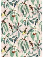 Osborne & Little Carta da parati Michelia - Blush
