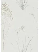 Sanderson Carta da parati Farne Grasses - Silver/ Ivory