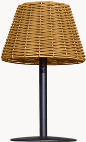 Lampada da tavolo solare portatile a LED con luce regolabile Amira