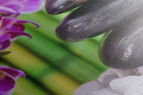 Quadro su tela – Giardino Zen giapponese