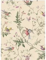 Cole & Son Tapete Hummingbirds - Classic Multi/ Old Olive on Cream