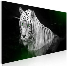 Quadro Shining Tiger (1 Part) Green Narrow
