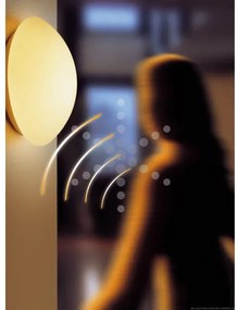 STEINEL 738013-RS 16L - Lampada  da esterno con sensore 1xE27/60W/230V