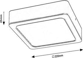 Rabalux 2691 - Plafoniera LED SHAUN LED/24W/230V 22 cm