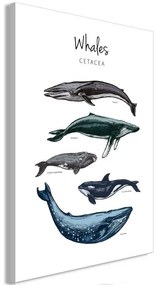 Quadro Whales (1 Part) Vertical