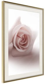 Poster  Subtle Flower  Cornice Quadri Cornice d'oro con passe-partout, Larghezza x Altezza Home decor 20x30