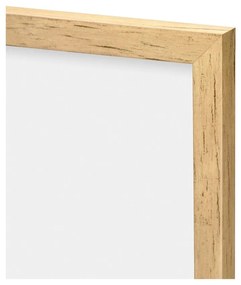 Dipinto 30x40 cm Grass – knor