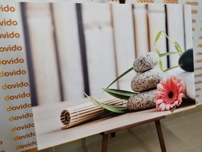 Quadro su tela – Natura morta benessere meditativa