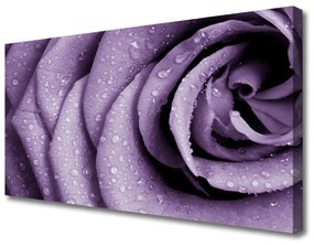 Foto quadro su tela Pianta di fiori di rosa 100x50 cm