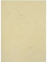 Terrastone Rustique floor - 15kg - 74 - Desert - 15 kg