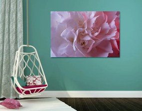 Quadro su tela – Petali di garofano