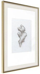 Poster  Ginger Rhizome  Cornice Quadri Cornice d'oro con passe-partout, Larghezza x Altezza Home decor 20x30