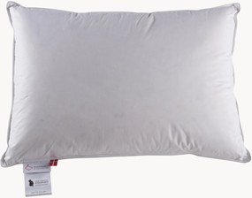 Cuscino in piuma a 3 camere Jack The Dullard, rigido