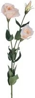 Set 8 Lisianthus Artificiali Composto da 3 Fiori Altezza 75 cm