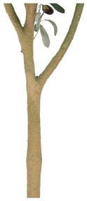 Ulivo artificiale (altezza 112 cm) Olive Tree - Ixia