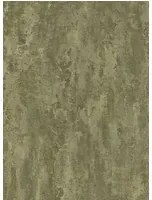 Arte International Carta da parati Stucco - Moss