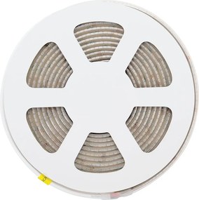 Striscia LED CCT Bianco Variabile 24V 20W/m Professionale - IP67- 5 metri