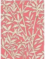 Cole & Son Carta da parati Bamboo Forest - Chalk on Rouge