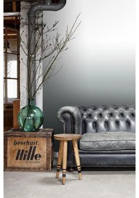 Fotomurale ESTA Degradè, nero e bianco 93X280 cm