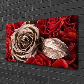 Quadro su tela Fiori di rose 100x50 cm