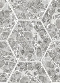 Rebel Walls Carta da parati Marbled Hexagon Tiles - Grey
