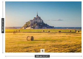 Carta da parati Le Mont Saintmichel 104x70 cm