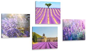 Set di quadri – Ricchezza della lavanda