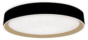 Plafoniera LED dimmerabile con controllo vocale OPAL LED/48W/230V + +TC