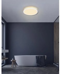 Globo 41562-24W - Plafoniera LED da bagno SAPANA LED/24W/230V IP44