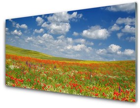 Quadro vetro acrilico Paesaggio di fiori di prato 100x50 cm